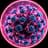 Andes Virus
