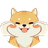 Baby Shiba Inu