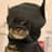 batcat