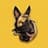 Belgian Malinois