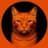 BILLI