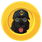 binancedog