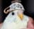 birb