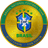 Brazil National Football Team Fan Token