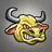 BullBar