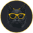 Catamoto