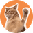 CatSlap