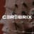 Cerebrix AI
