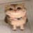 ChatGPT Cat