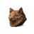 Copper (inu)