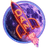 DAN