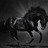 Dark Horse