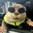 Degen the Otter