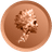 Divo