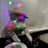 DJCAT