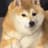 doge秽土转生版真名