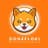 Doge Floki Coin [OLD]