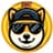 Doge Head Coin