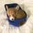 doginhat