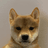 DogWifNoHat