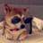 dogwithSHDZ