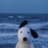 Doug