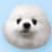 Durovs Dog