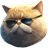 FAT CAT