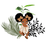 FAYA