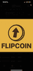 Flip Coin