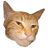 Giga Cat