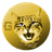 Ginnan Doge's Brother