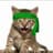 Green Kitten Crew