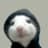 hood rat