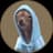 HOODOG