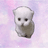 hop cat