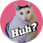 Huh cat