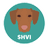 Hungarian Vizsla Inu