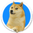 Kabosu Inu