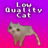 Low Quality Cat