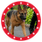 MAGA DOG