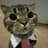 MarketCat
