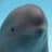 Miharu The Smiling Dolphin