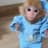 monke
