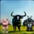 Moo Cow