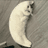 Mooncat