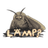 Moth