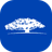 Nest WisdomTree Vault
