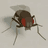 NeuroMechFly