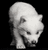 New Ancient DNA Cloned Wolf